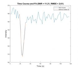 Graph showing Time Course and Fit