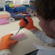 Researcher in a lab using a pipette